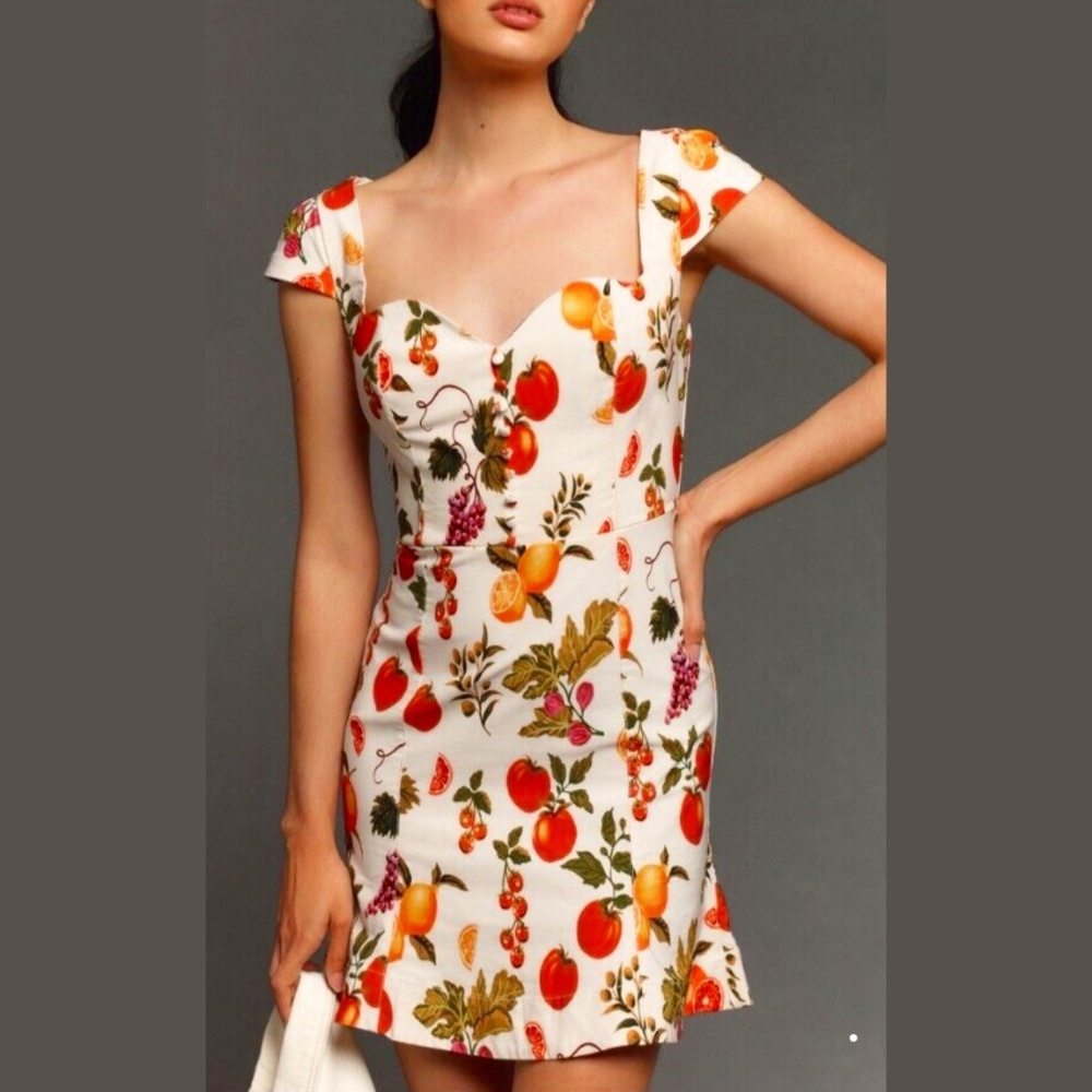 NWT Anthropologie size XL Cecily Sweetheart Dress Mini Edition Fruits